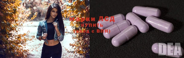 ПСИЛОЦИБИНОВЫЕ ГРИБЫ Сафоново