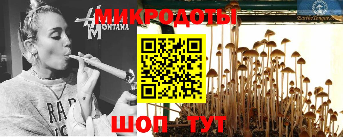 Псилоцибиновые грибы прущие грибы  Вход с VPN  Алейск 
