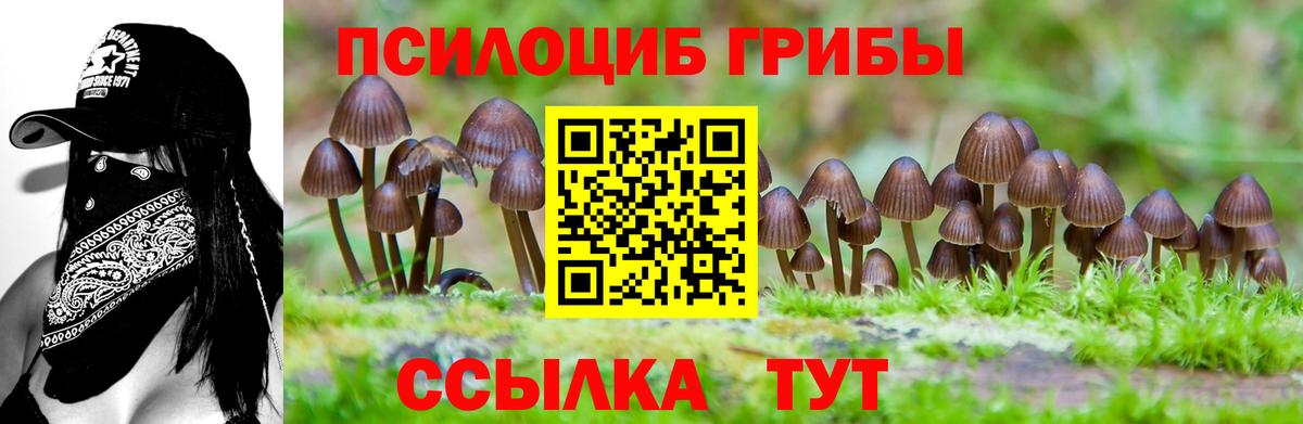 НБОМе Алейск