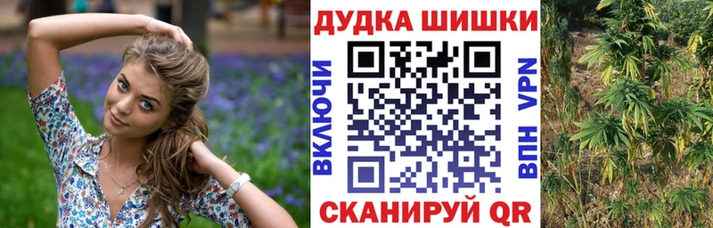 Шишки марихуана Amnesia  продажа наркотиков  Алейск 